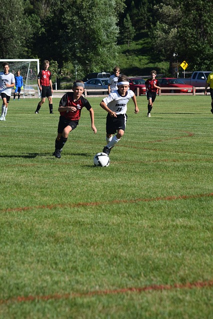 天赋异禀 天赋异禀