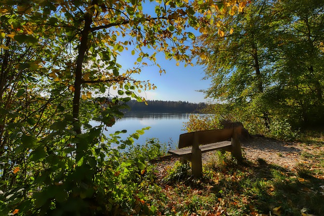 赛后立即召 赛后立即召