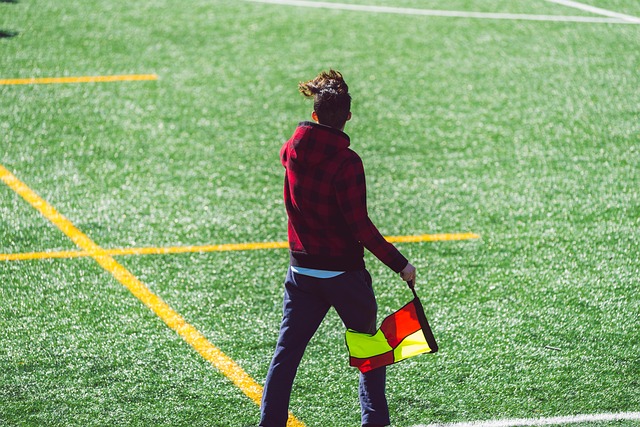 菲律宾政府 菲律宾政府